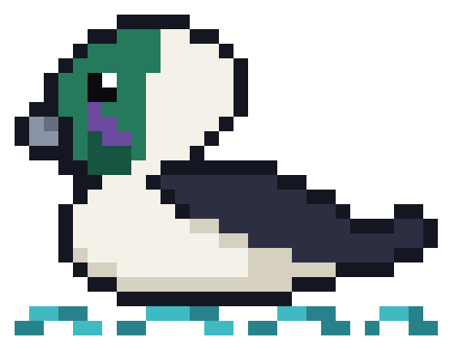 Bufflehead Studios duck logo